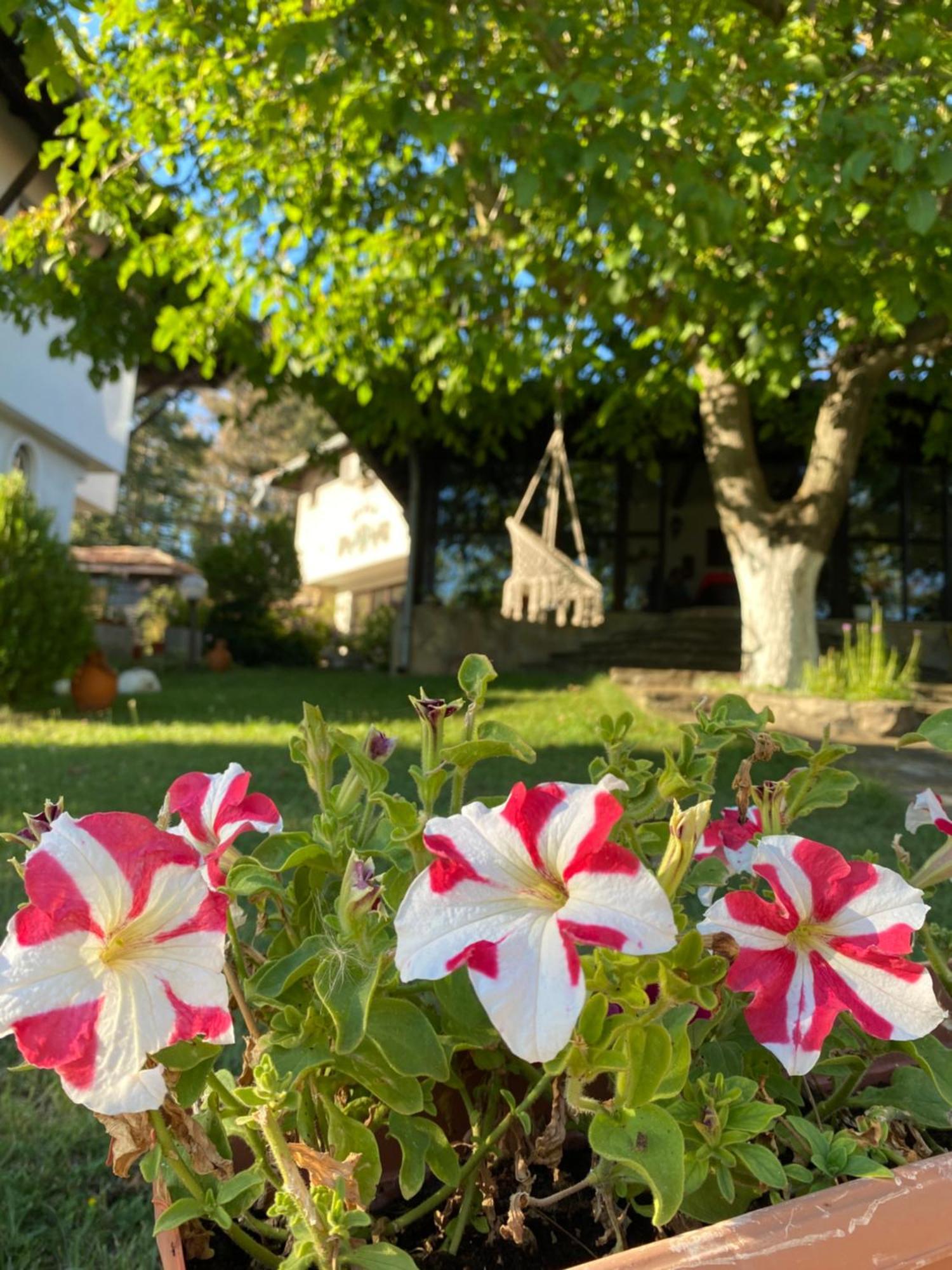 Guest House Debar Arbanasi Exteriér fotografie